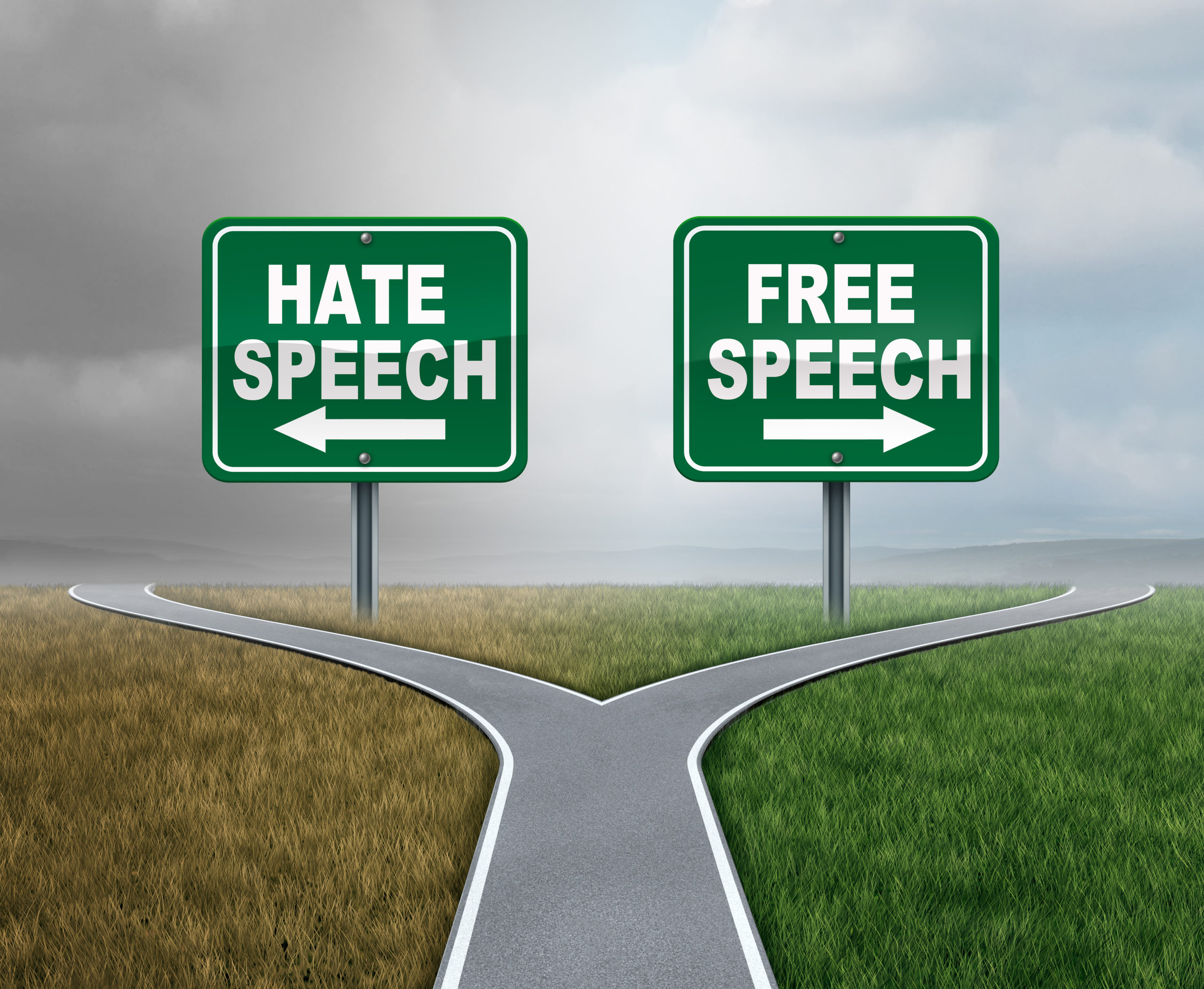“L’UE doit trouver un équilibre entre la liberté d’expression et la responsabilité”